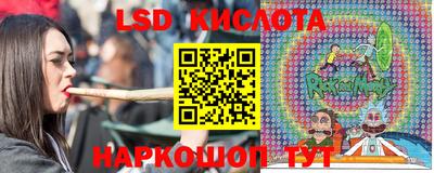 гидропоника Кингисепп