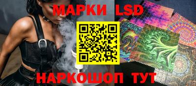 гидропоника Кингисепп