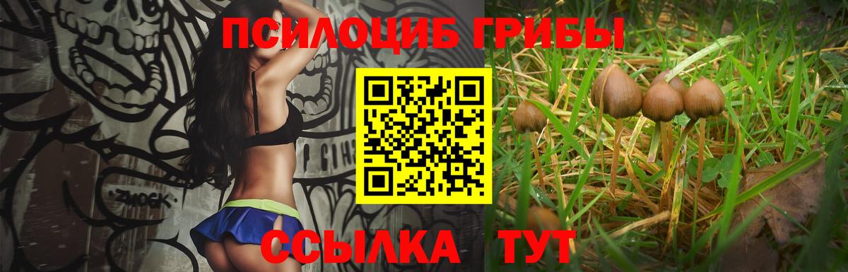 Псилоцибиновые грибы Magic Shrooms  Вход с VPN  Котлас 